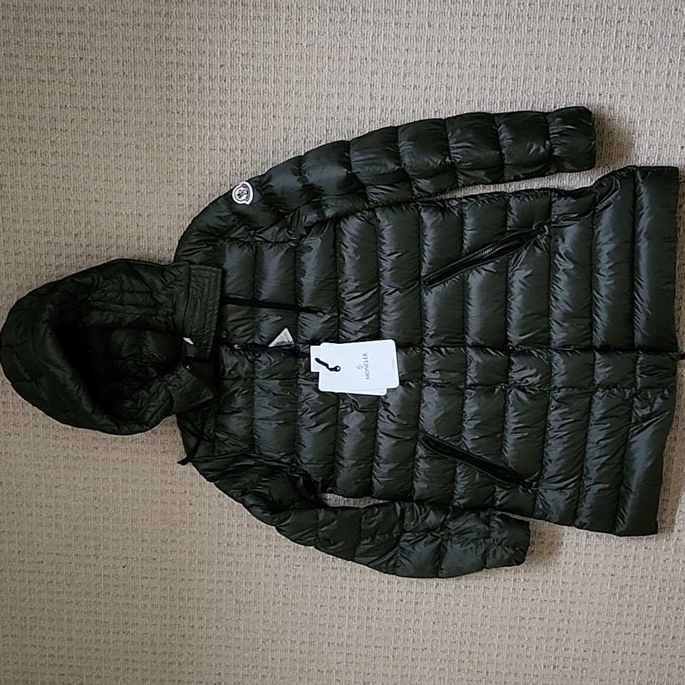 Moncler gnosia down parka